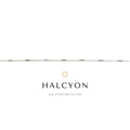 Halcyon Chain – Wholesale Chain (Per Foot)